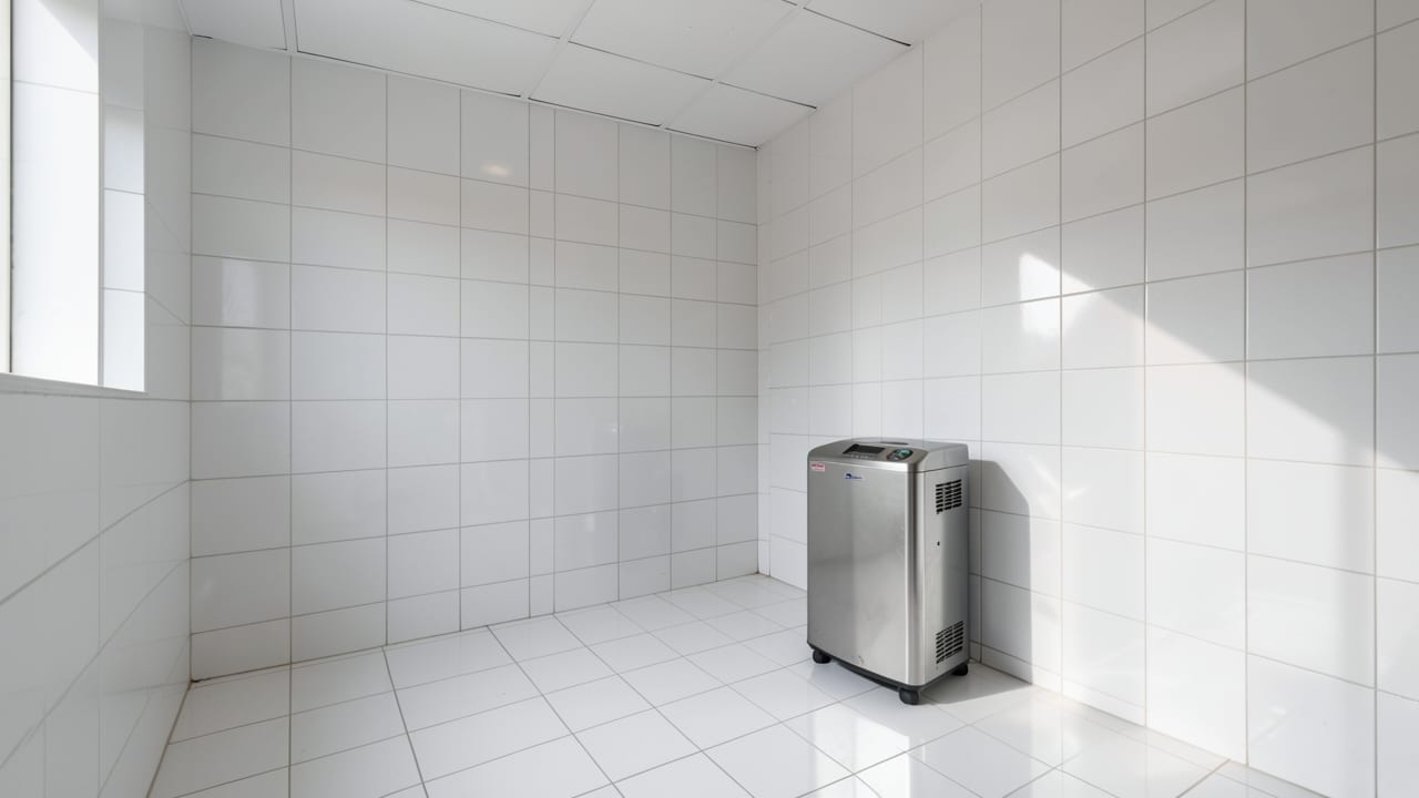 Hotel Mold Remediation in Mount Holly, NJ in Mount Holly
