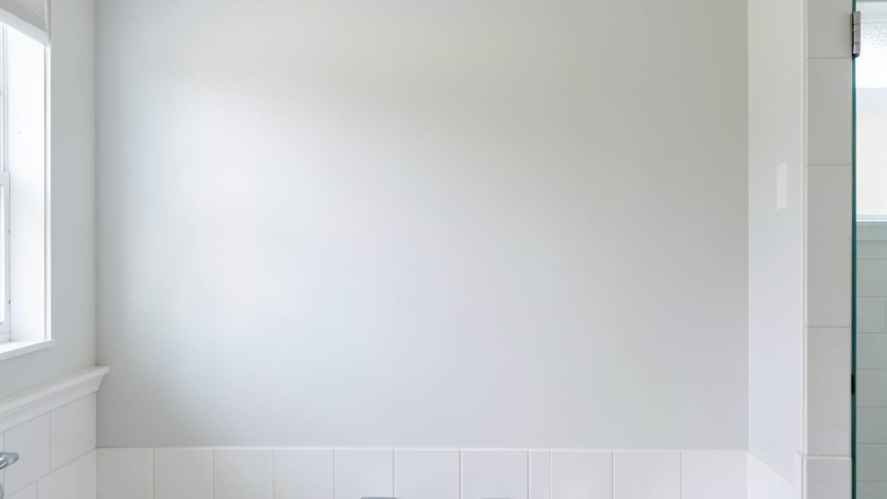 Pipe Leak Mold Removal in Mount Holly, NJ in Mount Holly
