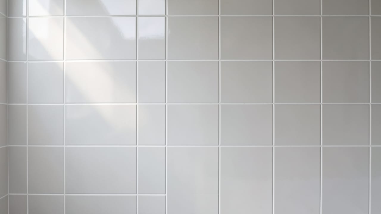 Tile & Grout Mold Cleanup in Mount Holly, NJ in Mount Holly