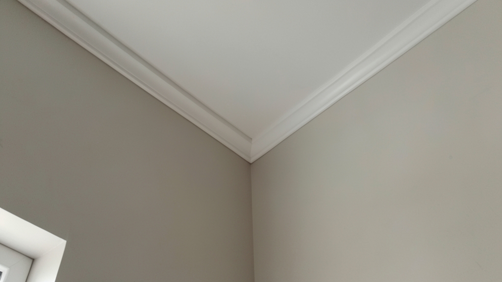 How Moisture Levels Impact Mold in North Stonington