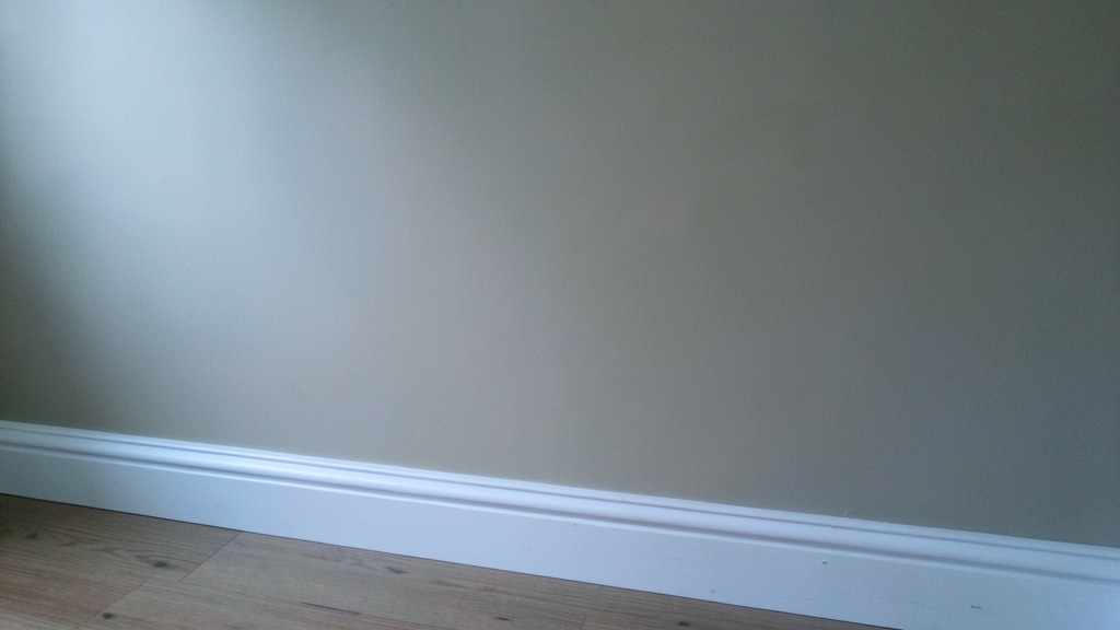 A Step-by-Step Guide to the Mold Inspection Process in North Stonington