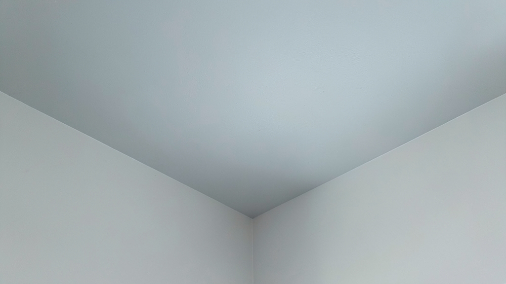 Mold vs. Mildew: Which Requires Immediate Action in North Stonington?