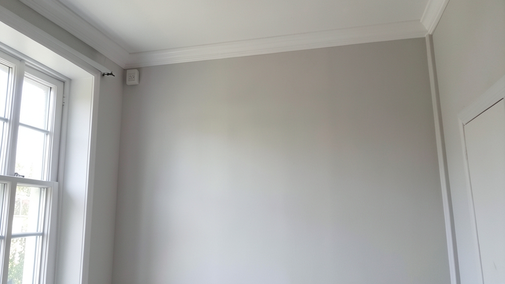 Why Lab Analysis Matters in Mold Identification for North Stonington Properties