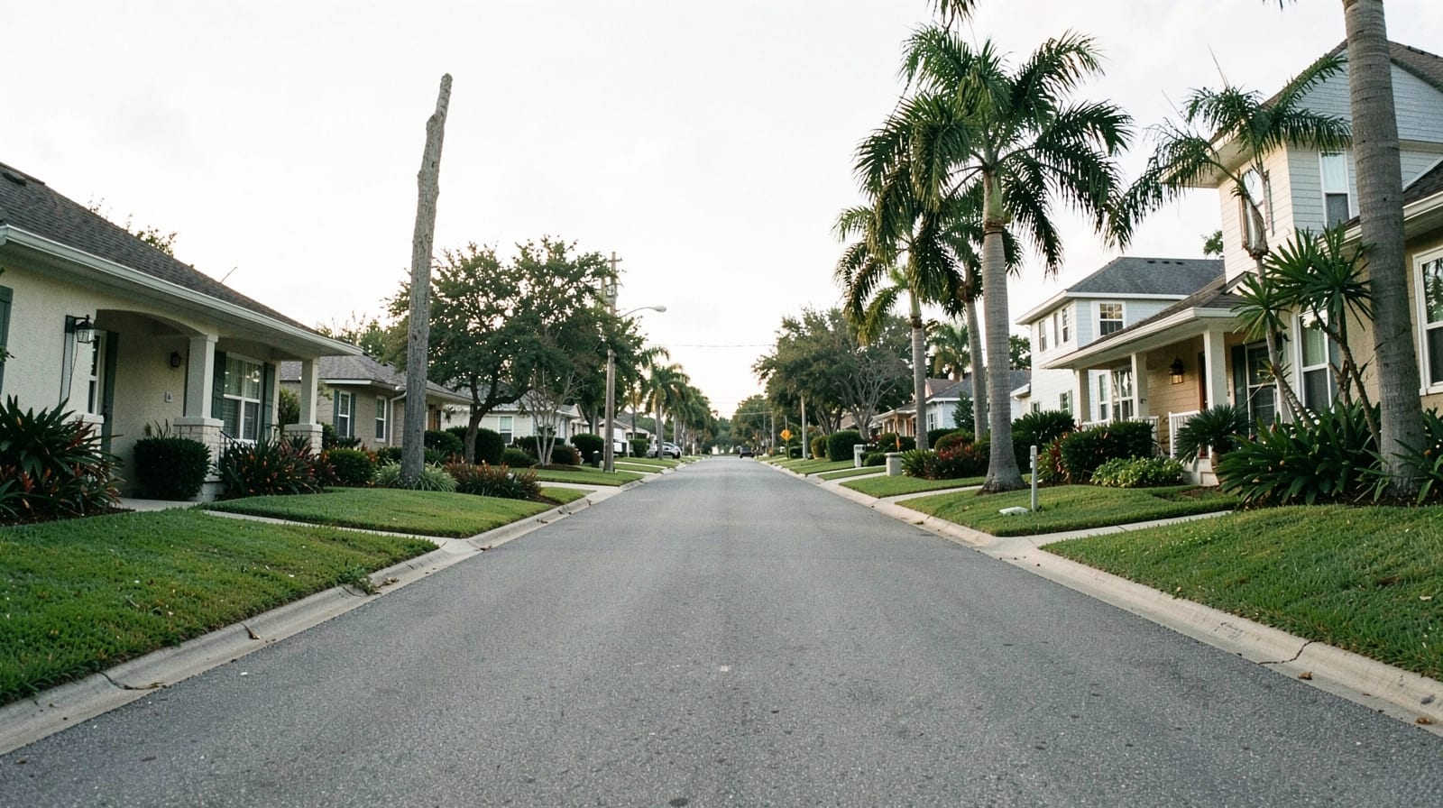 Mold Remediation in Indian Shores, FL in North Redington Beach