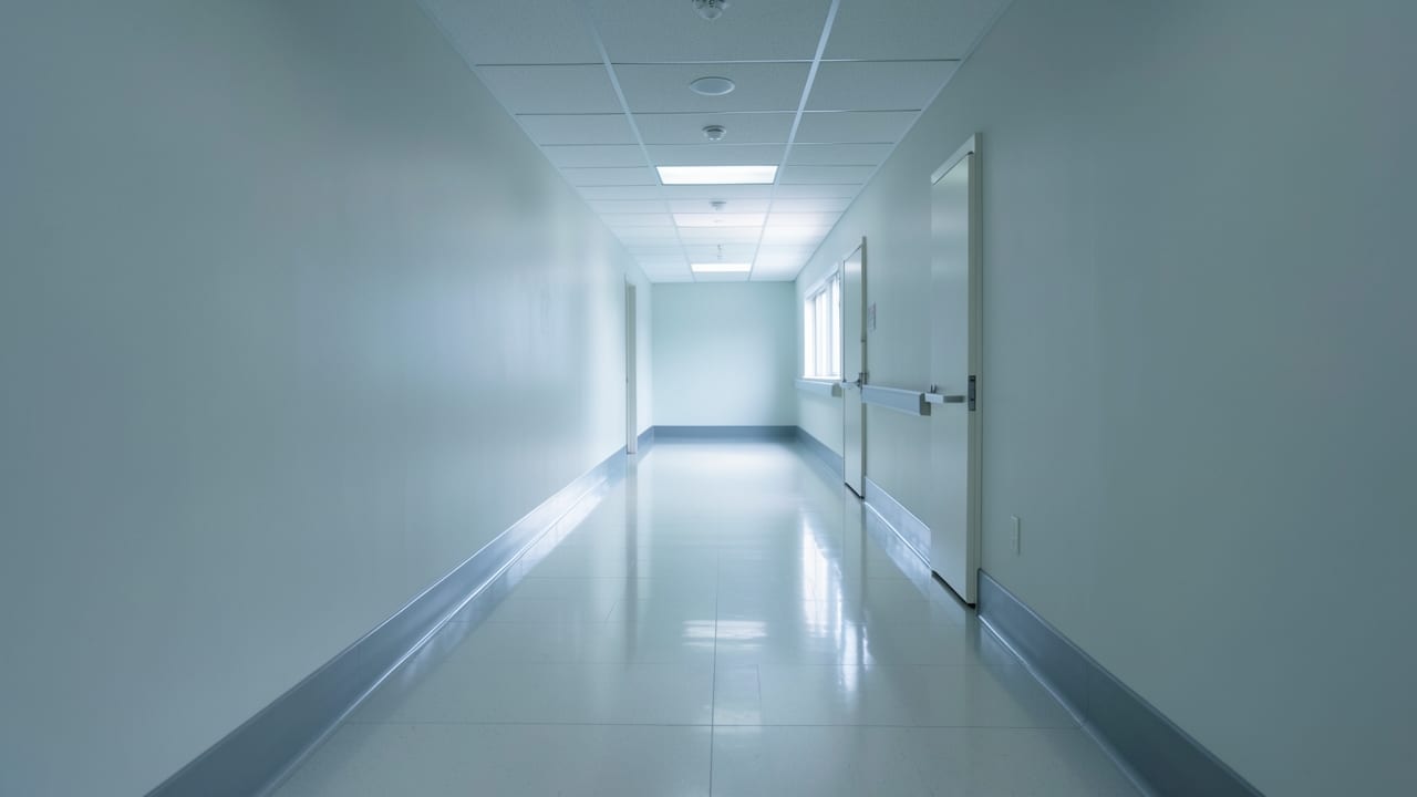 Hospital Mold Removal in North Redington Beach, FL in North Redington Beach