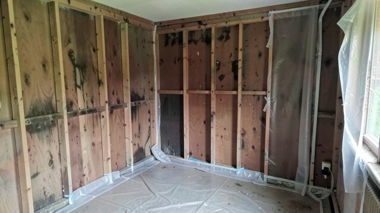 Mold Removal & Remediation in North Redington Beach, FL in North Redington Beach