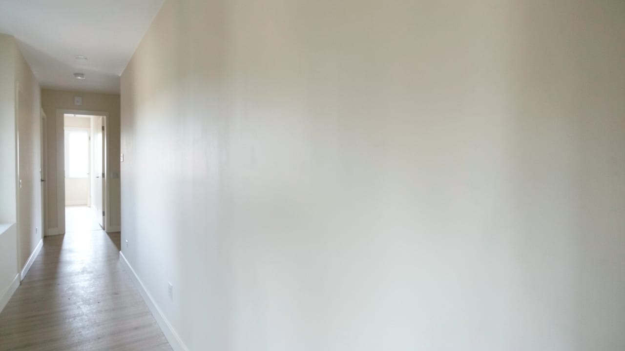 Plaster Mold Remediation in North Redington Beach, FL in North Redington Beach