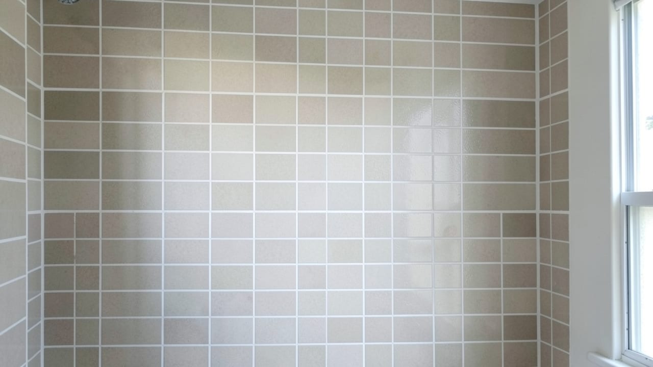 Tile & Grout Mold Cleanup in North Redington Beach, FL in North Redington Beach