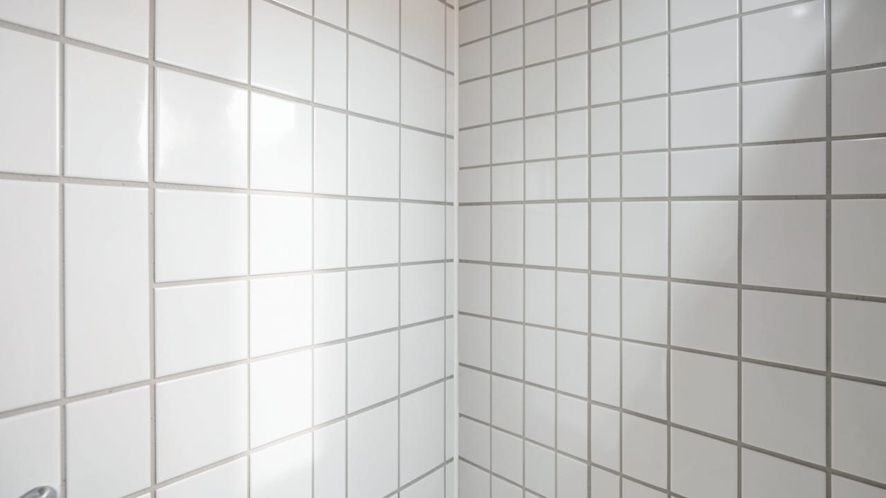 Bathroom Mold Removal in Pacific Beach, CA in Pacific Beach