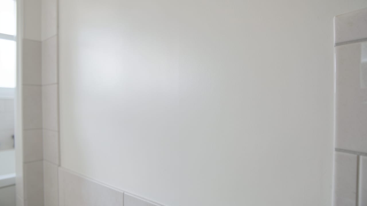 Pipe Leak Mold Removal in Pacific Beach, CA in Pacific Beach