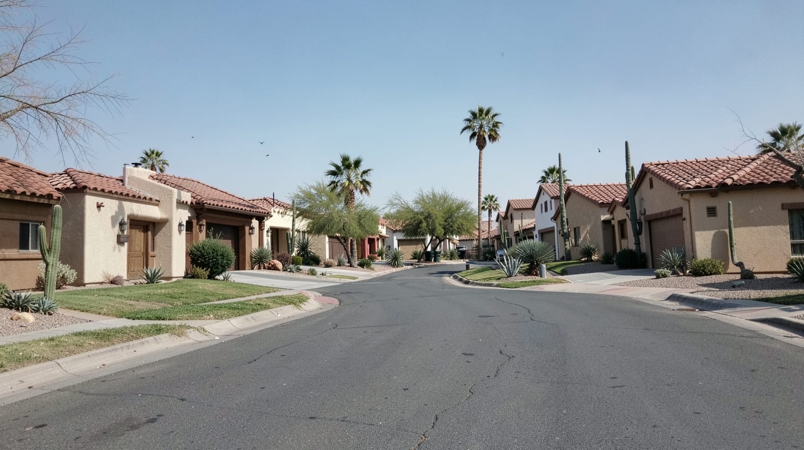 Mold Remediation in Carefree, AZ