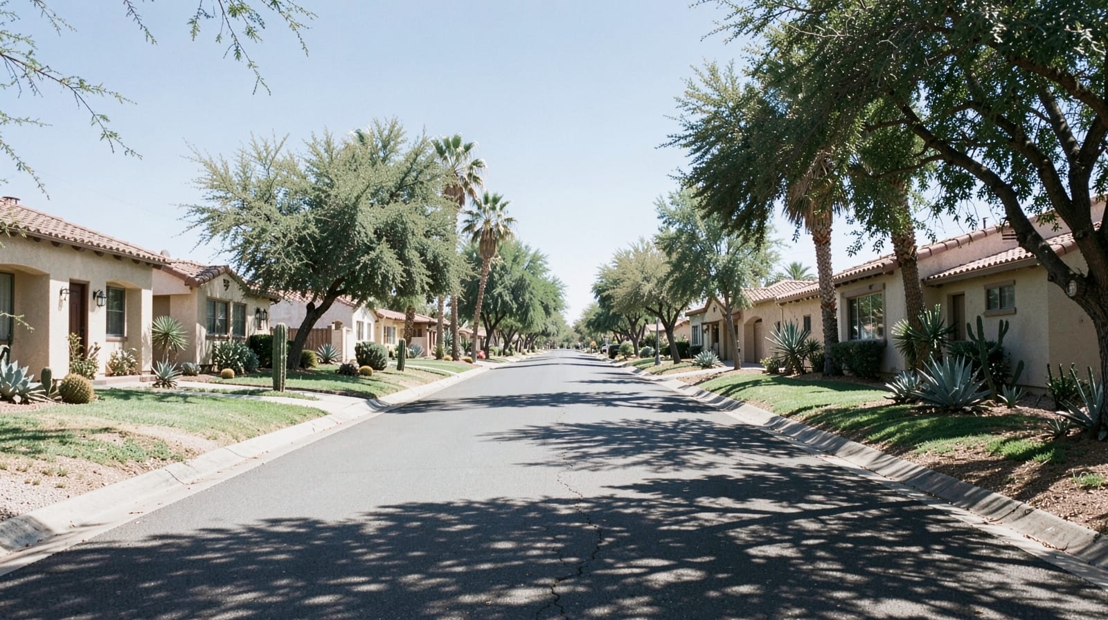 Mold Remediation in Cave Creek, AZ