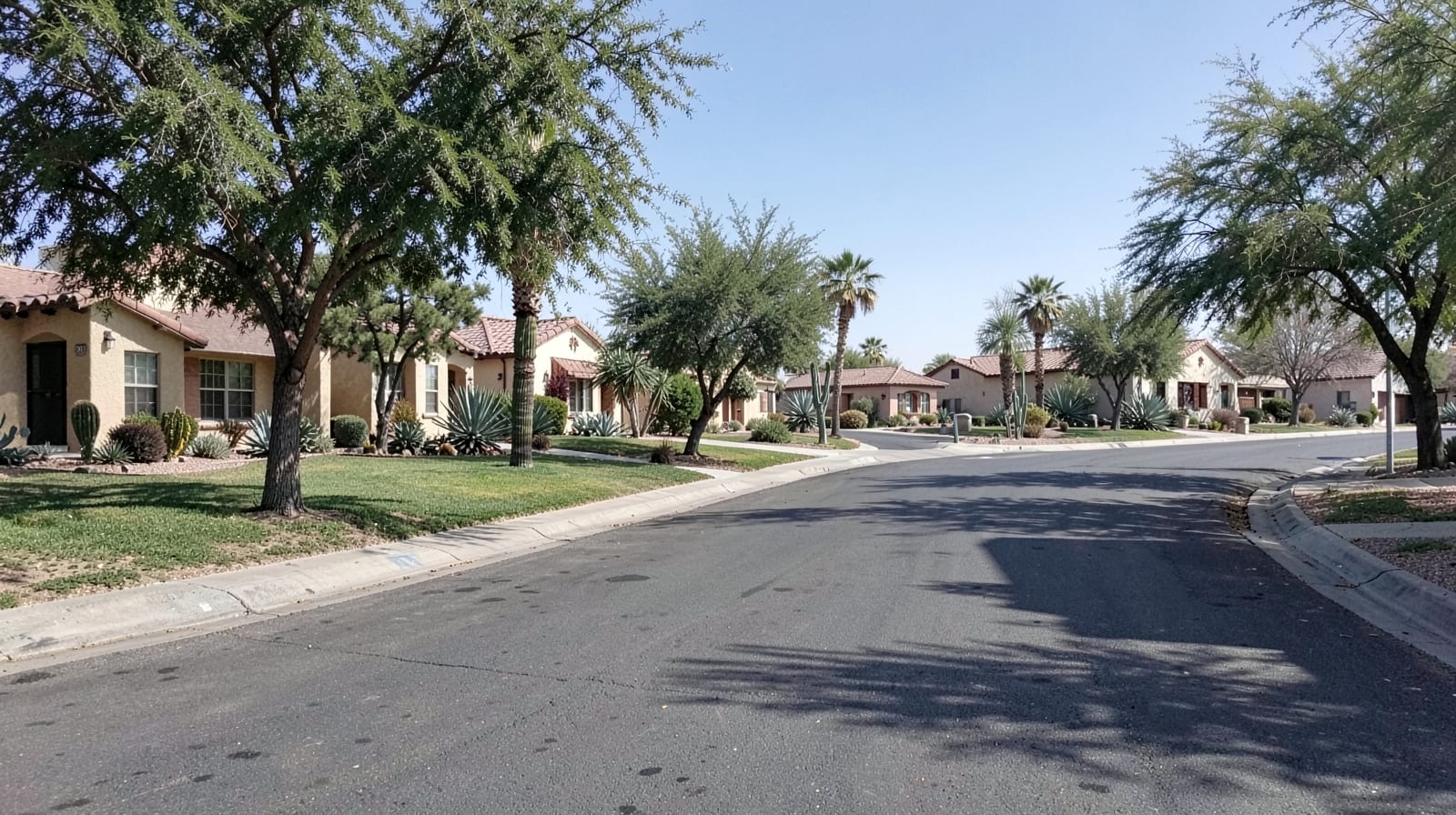 Mold Remediation in Fountain Hills, AZ