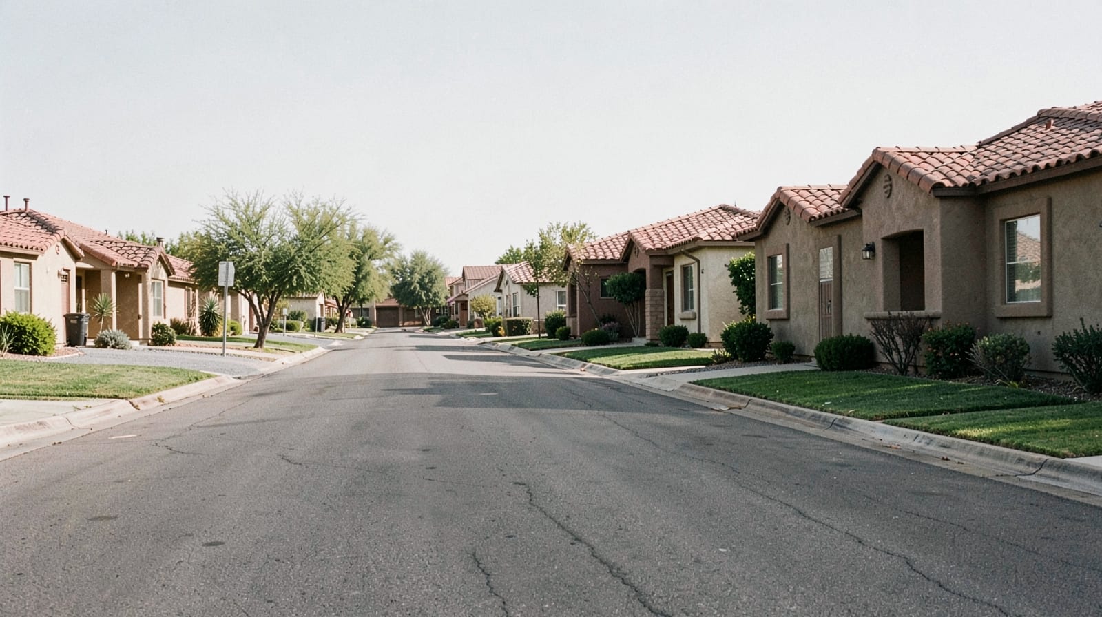 Mold Remediation in Mesa, AZ