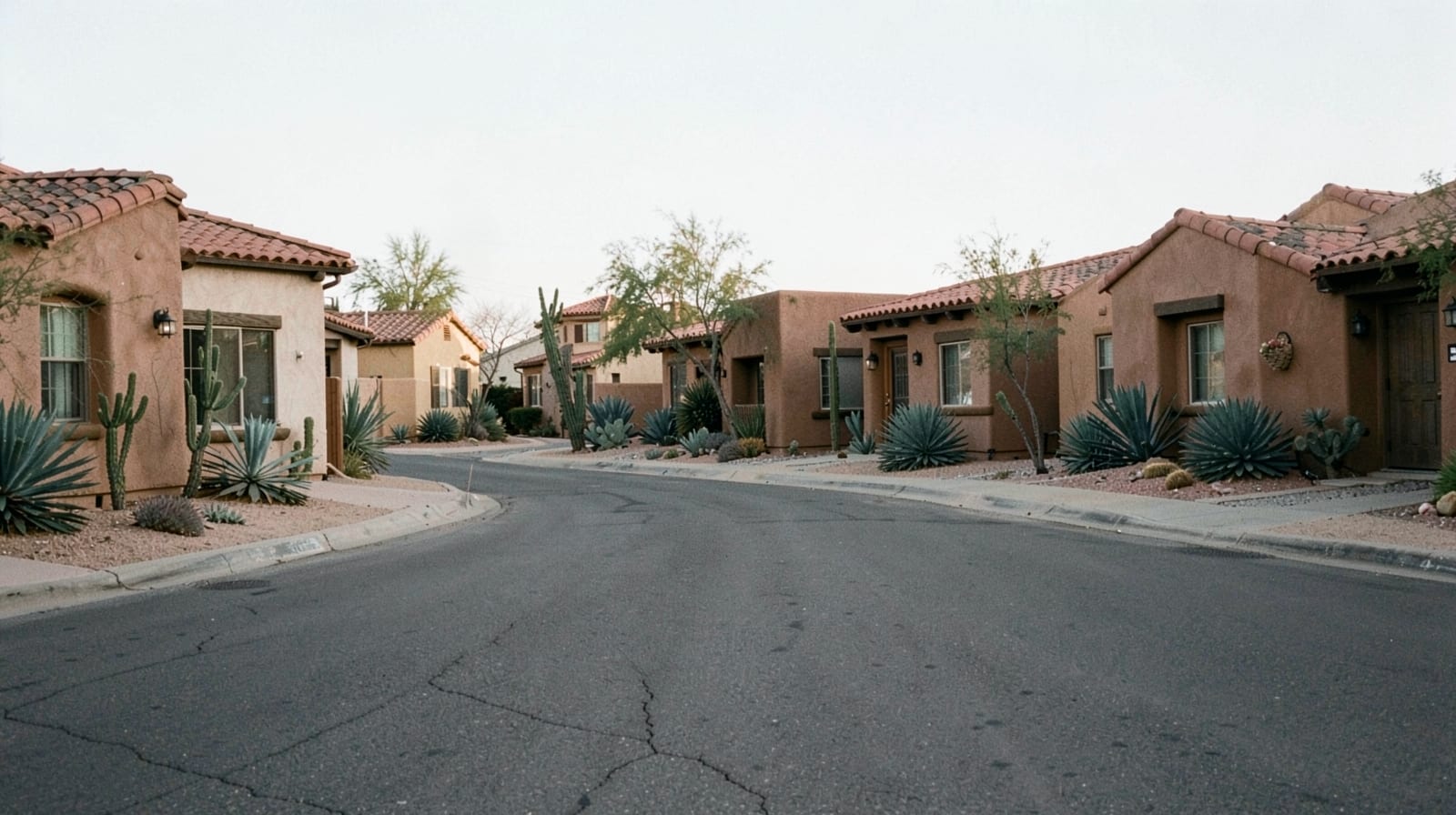 Mold Remediation in Phoenix, AZ