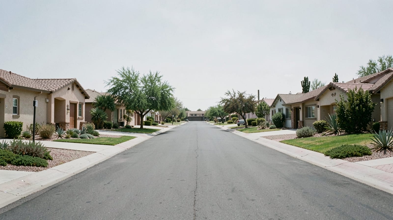 Mold Remediation in Tempe, AZ