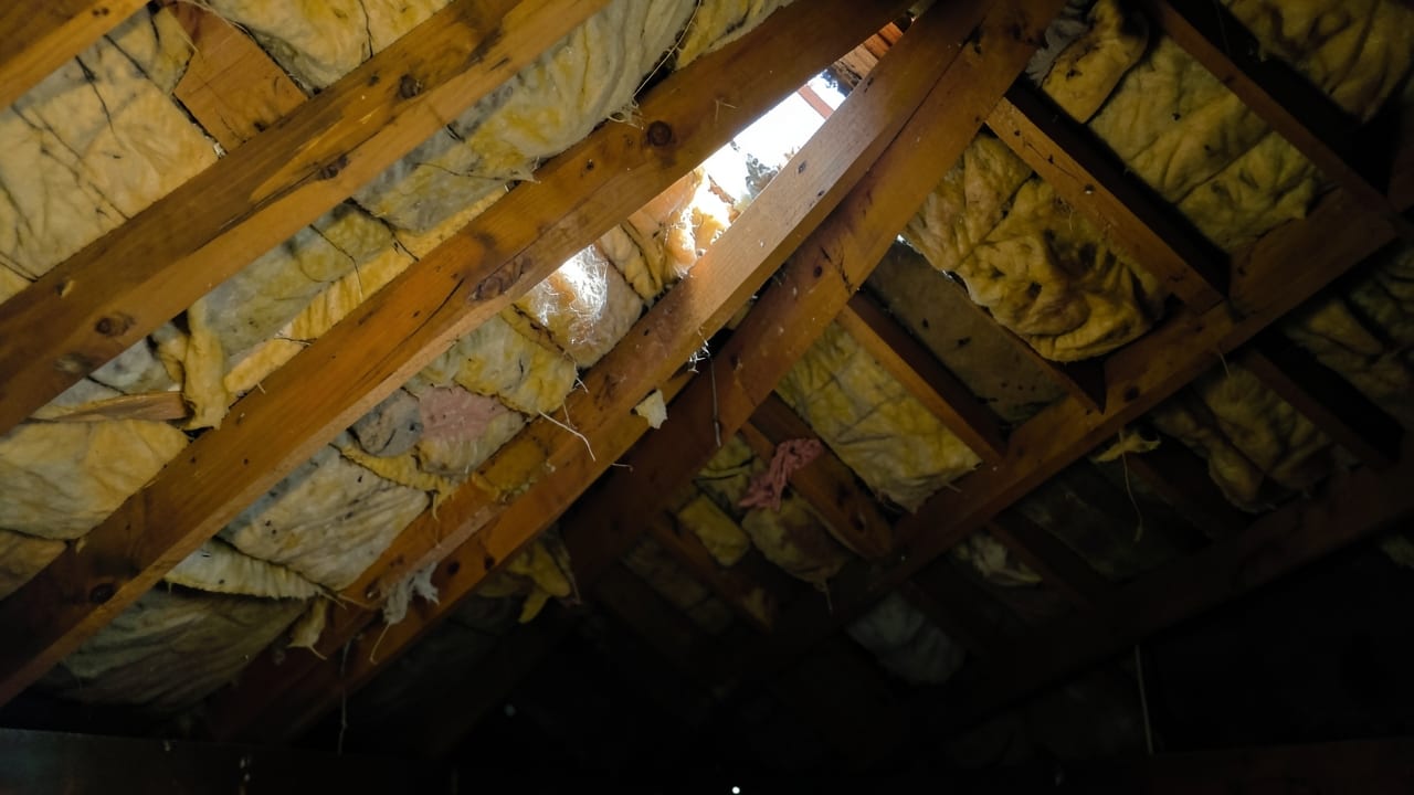 Attic Mold Remediation in Paradise Valley, AZ in Paradise Valley