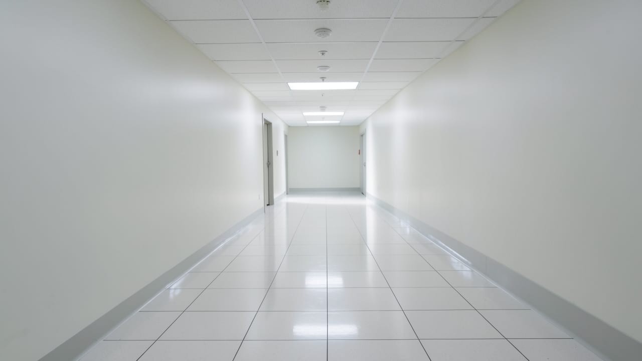 Hospital Mold Removal in Paradise Valley, AZ in Paradise Valley