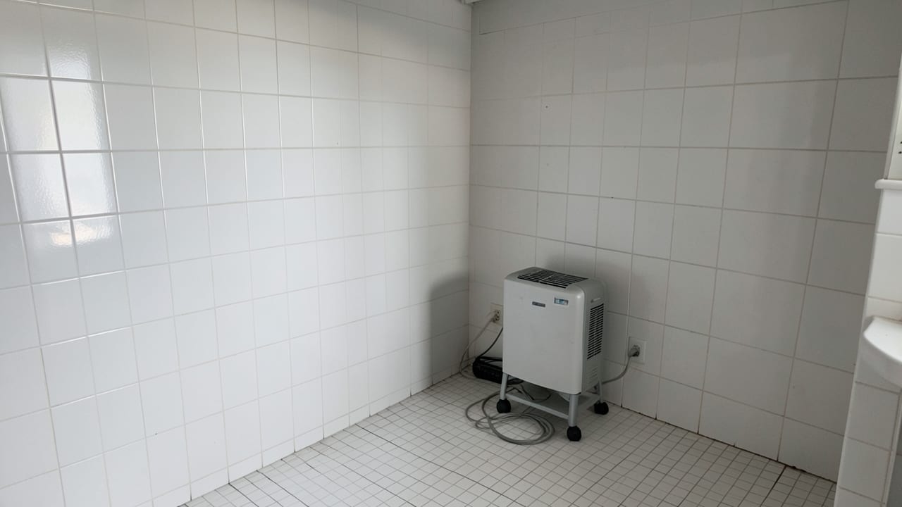 Hotel Mold Remediation in Paradise Valley, AZ in Paradise Valley