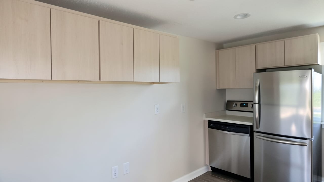 Kitchen Mold Cleanup in Paradise Valley, AZ in Paradise Valley