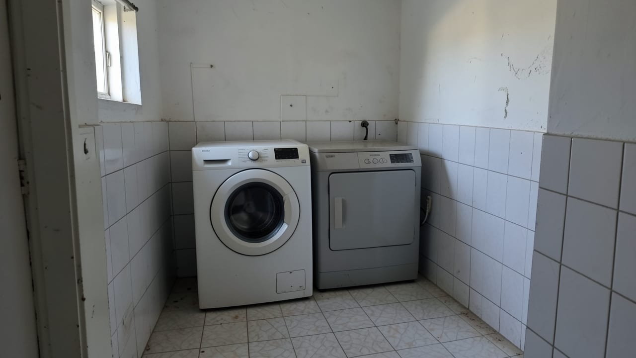 Laundry Room Mold Cleanup in Paradise Valley, AZ in Paradise Valley