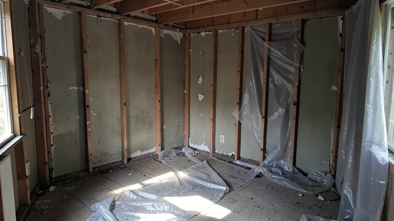 Mold Removal & Remediation in Paradise Valley, AZ in Paradise Valley