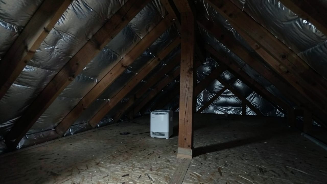 Pre-Winter Mold Prevention in Paradise Valley, AZ in Paradise Valley