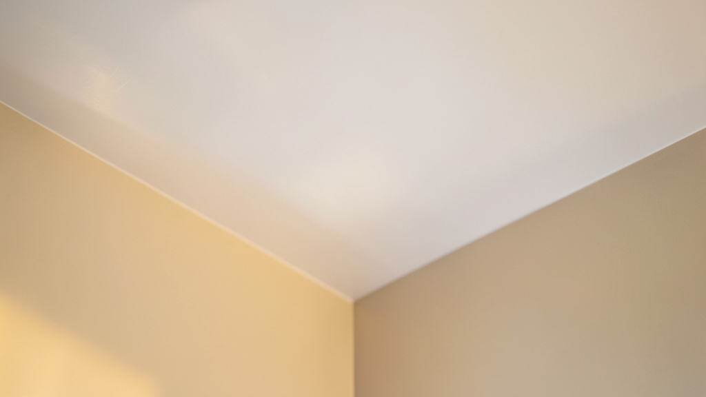 How to Identify Black Mold in Your Home and Why It’s Dangerous in Peachtree Corners