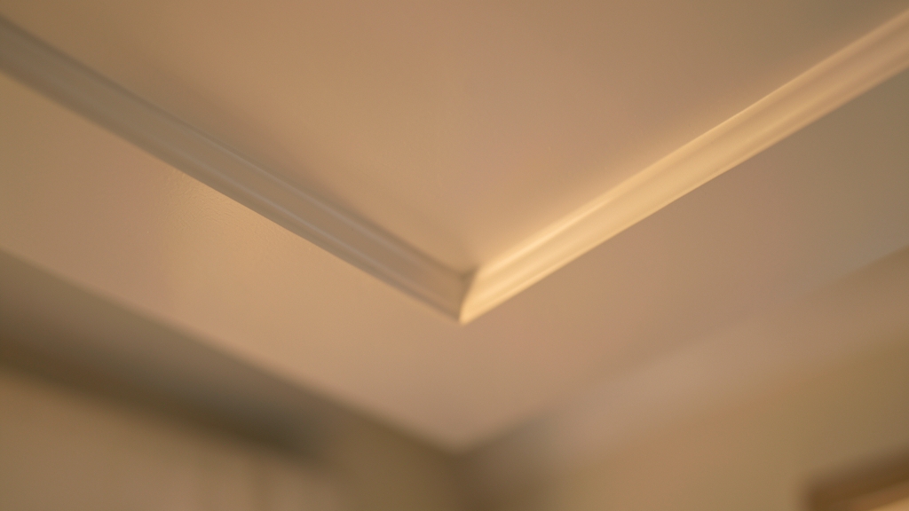 Why Thermal Imaging is a Game-Changer for Mold Detection in Peachtree Corners