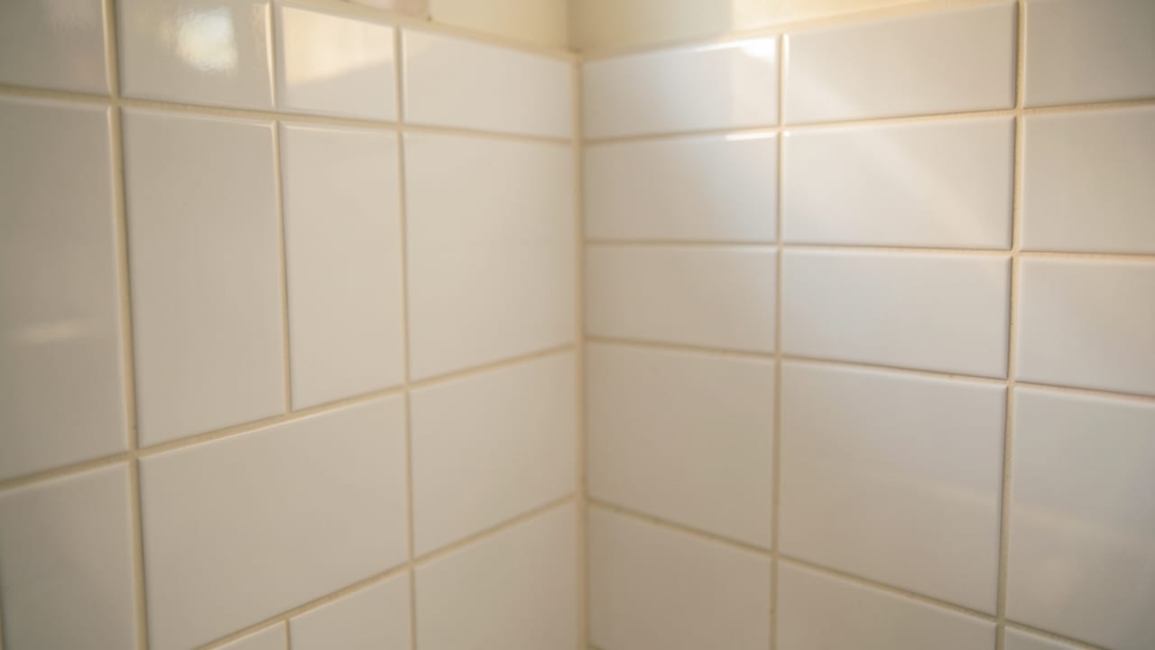 Bathroom Mold Removal in Peachtree Corners, GA in Peachtree Corners