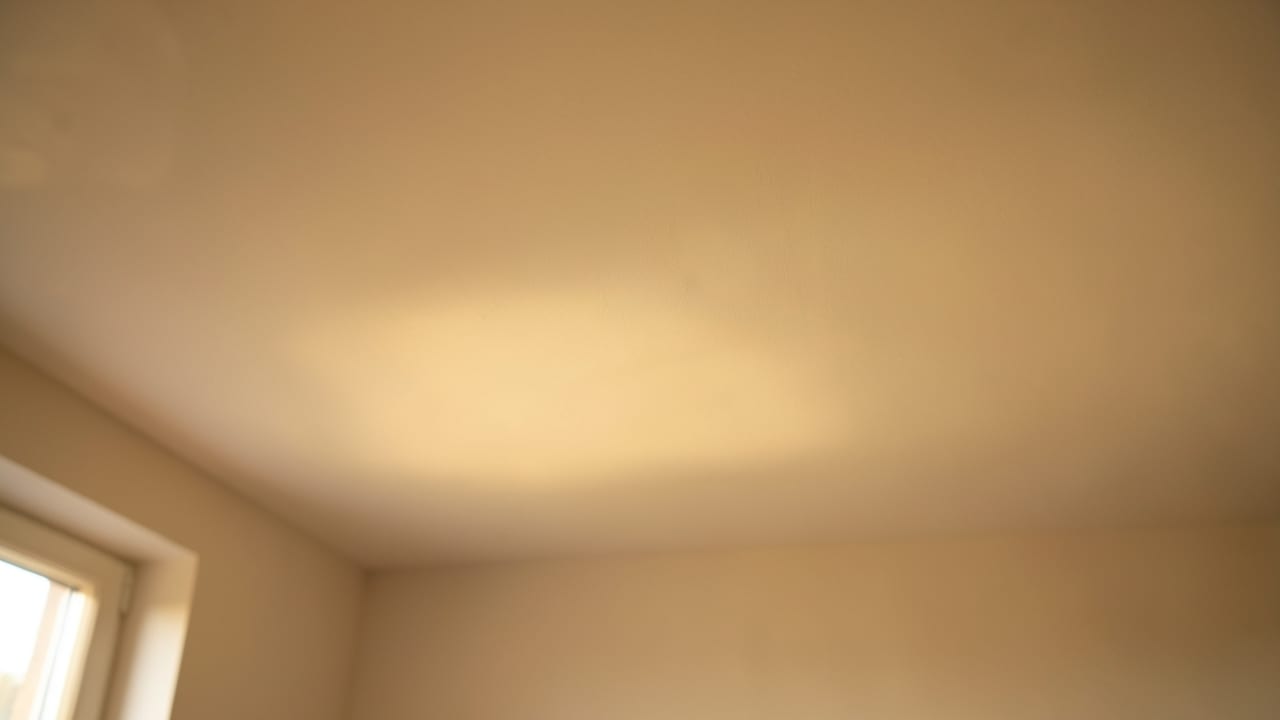 Ceiling Mold Removal in Peachtree Corners, GA in Peachtree Corners