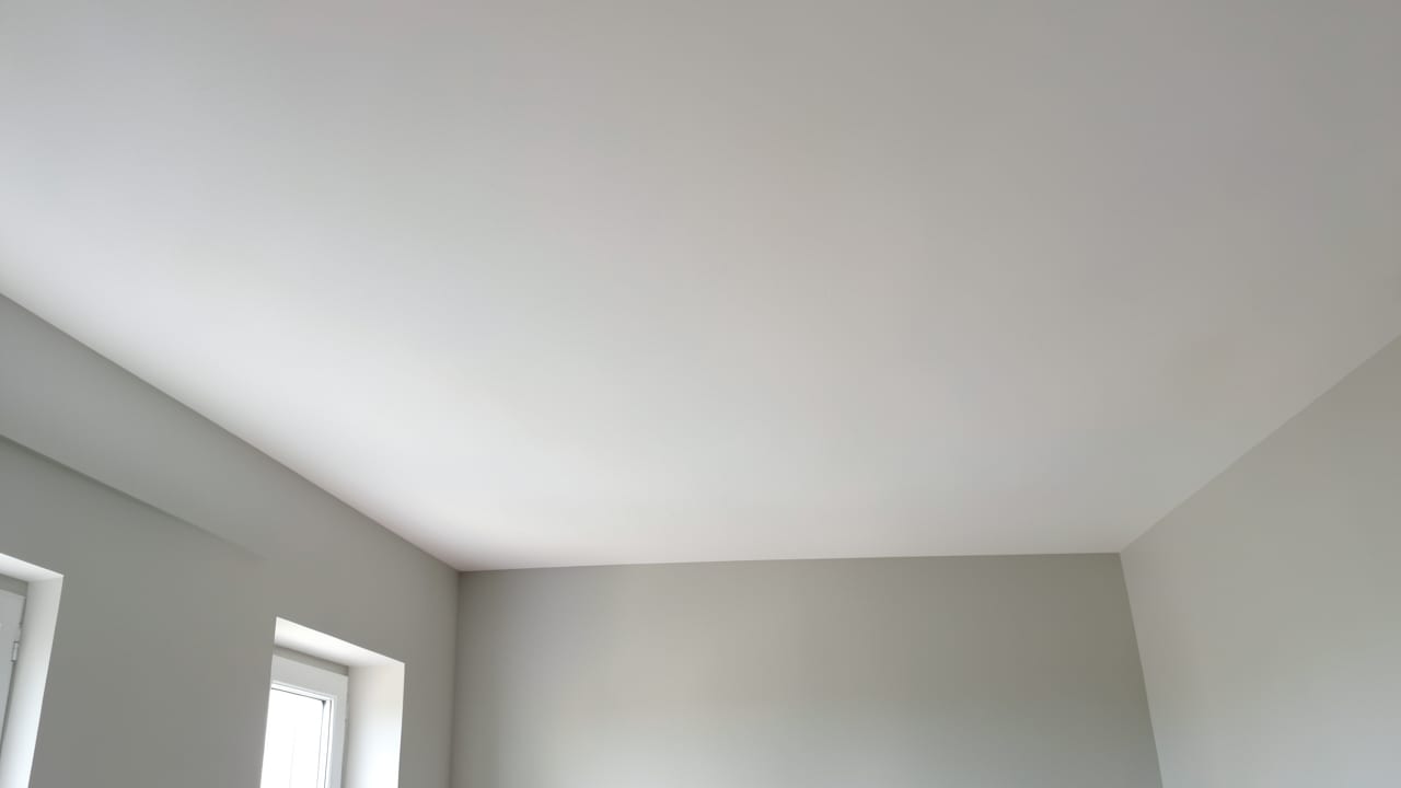 Ceiling Mold Removal in Redington Beach, FL in Redington Beach