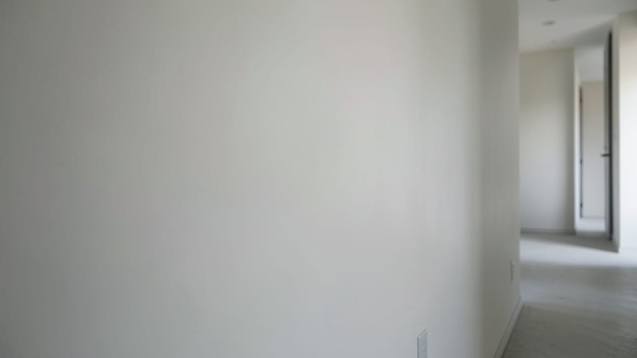 Drywall Mold Remediation in Redington Beach, FL in Redington Beach