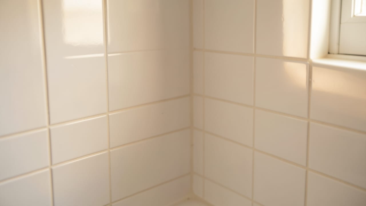 Bathroom Mold Removal in Vernon, CT in Vernon
