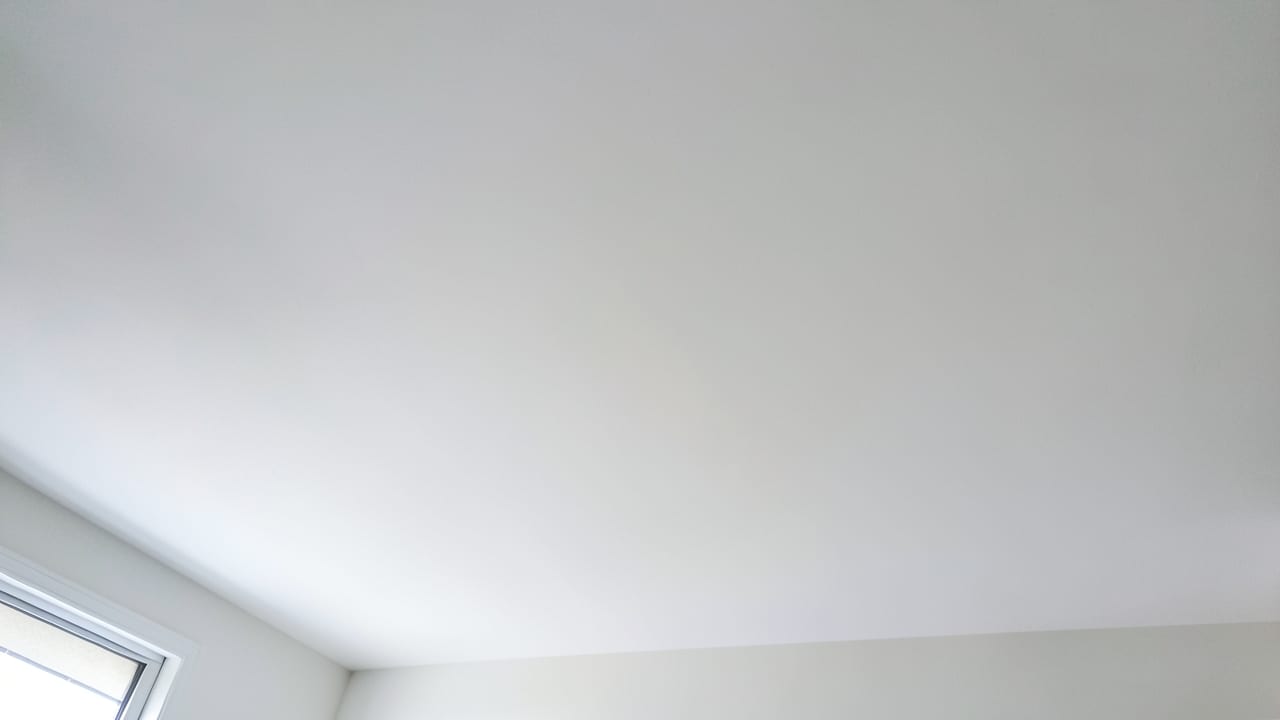 Ceiling Mold Removal in Vista, CA in Vista