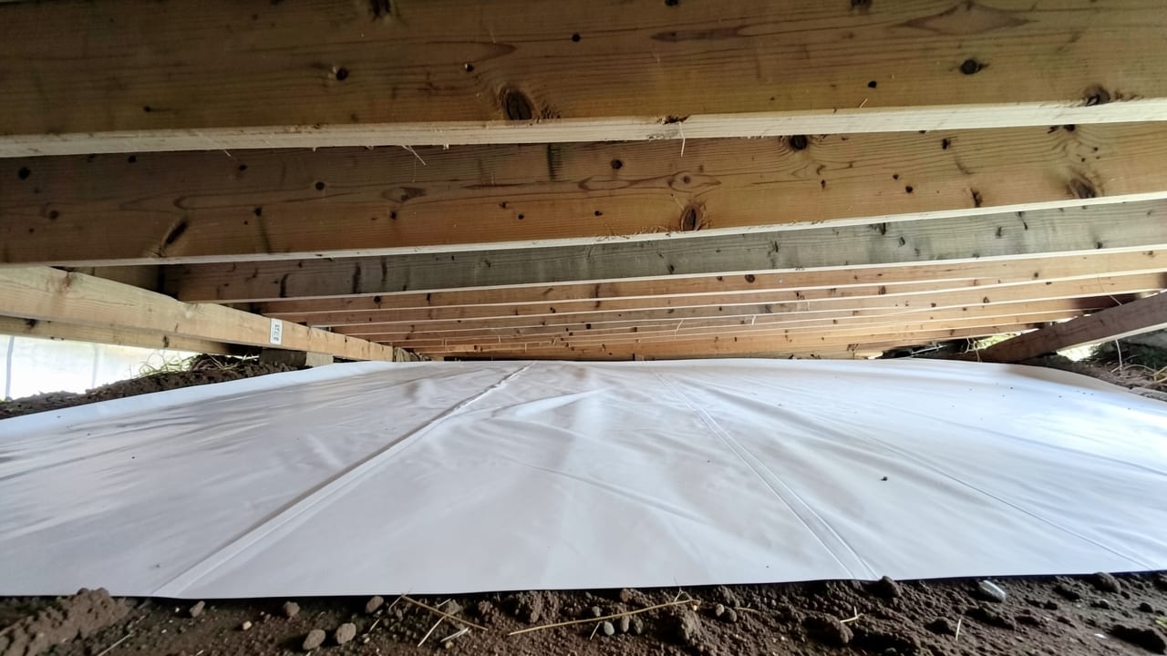Crawl Space & Basement Mold Remediation in Vista, CA in Vista