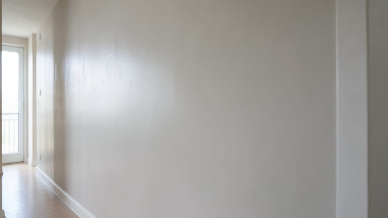 Plaster Mold Remediation in Vista, CA in Vista